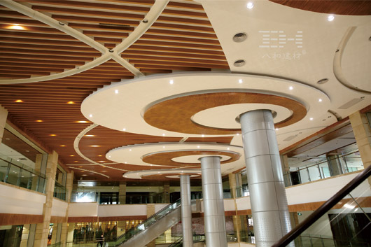 八和建材-虎门国际购物中心3